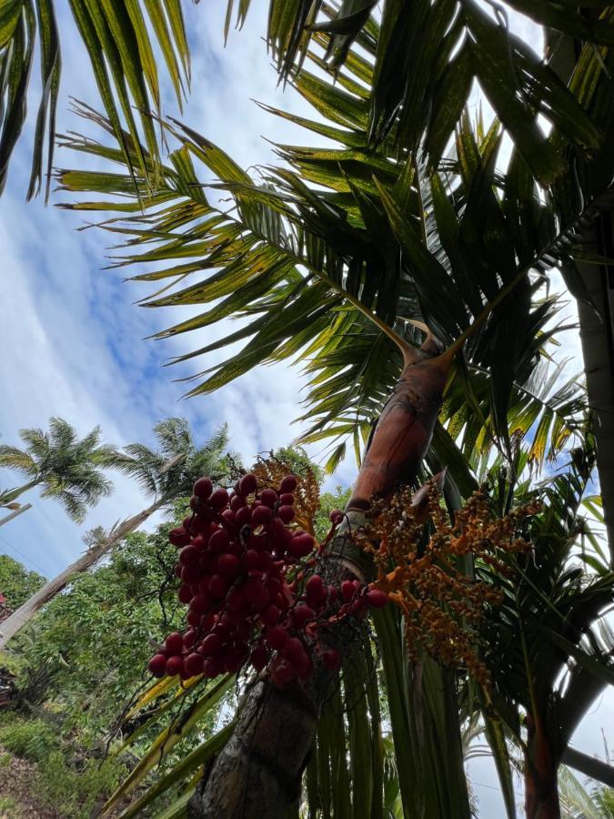 Vila Hawaii Getaway Holualoa Exteriér fotografie